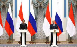 В конце июня в Кремле состоялись переговоры Президента России Владимира Путина с главой Индонезии Джоко Видодо